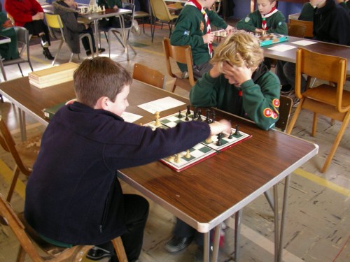 Playing chess at the Cambridge District Cub Championships