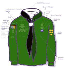 Position of cub badges: courtesy www.scoutbase.org.uk