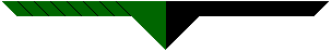 Our neckerchief is green and black